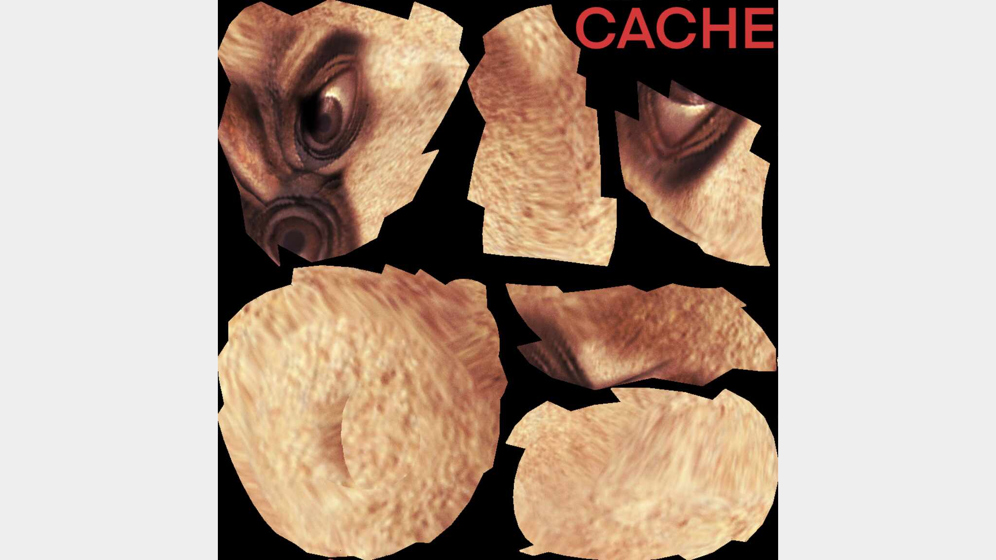 CACHE