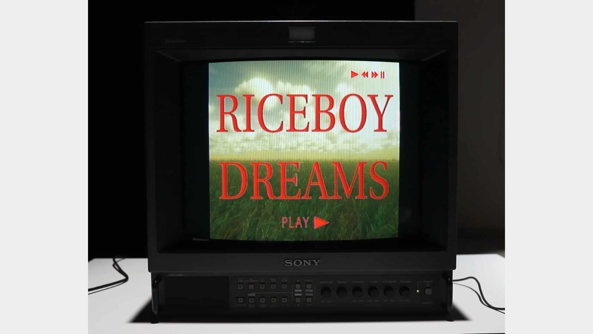 RiceBoy Dreams
