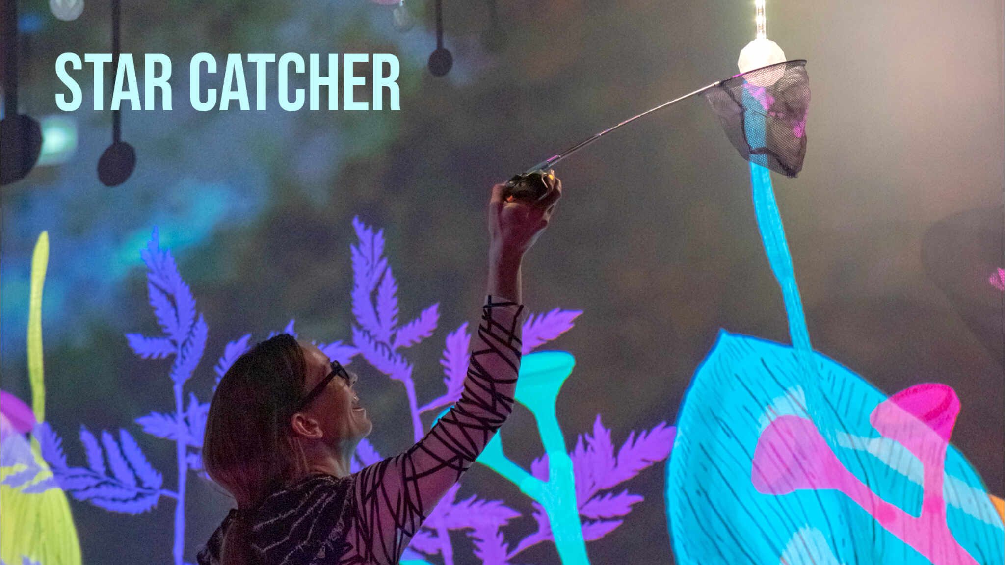Star Catcher