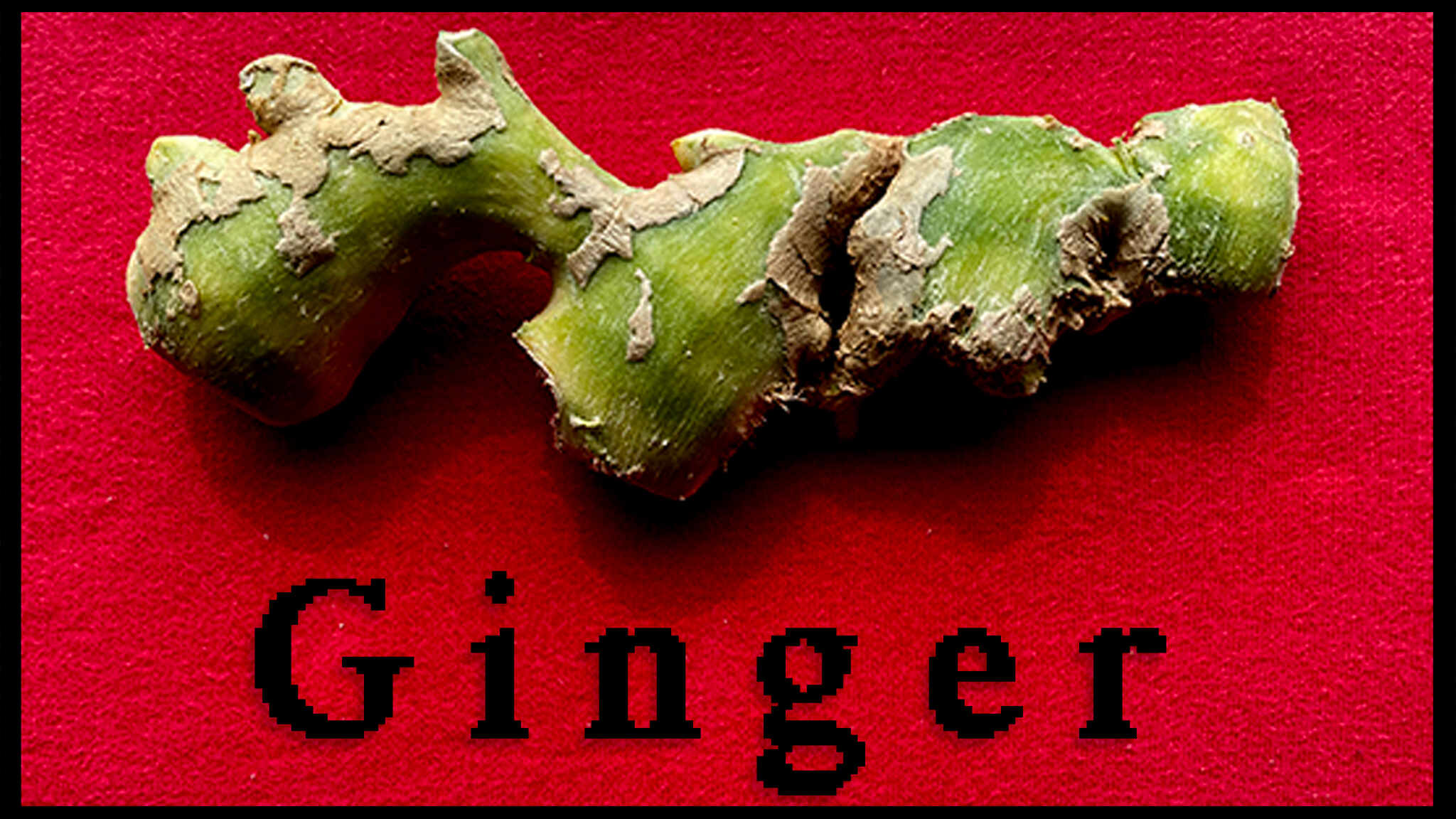 ginger 