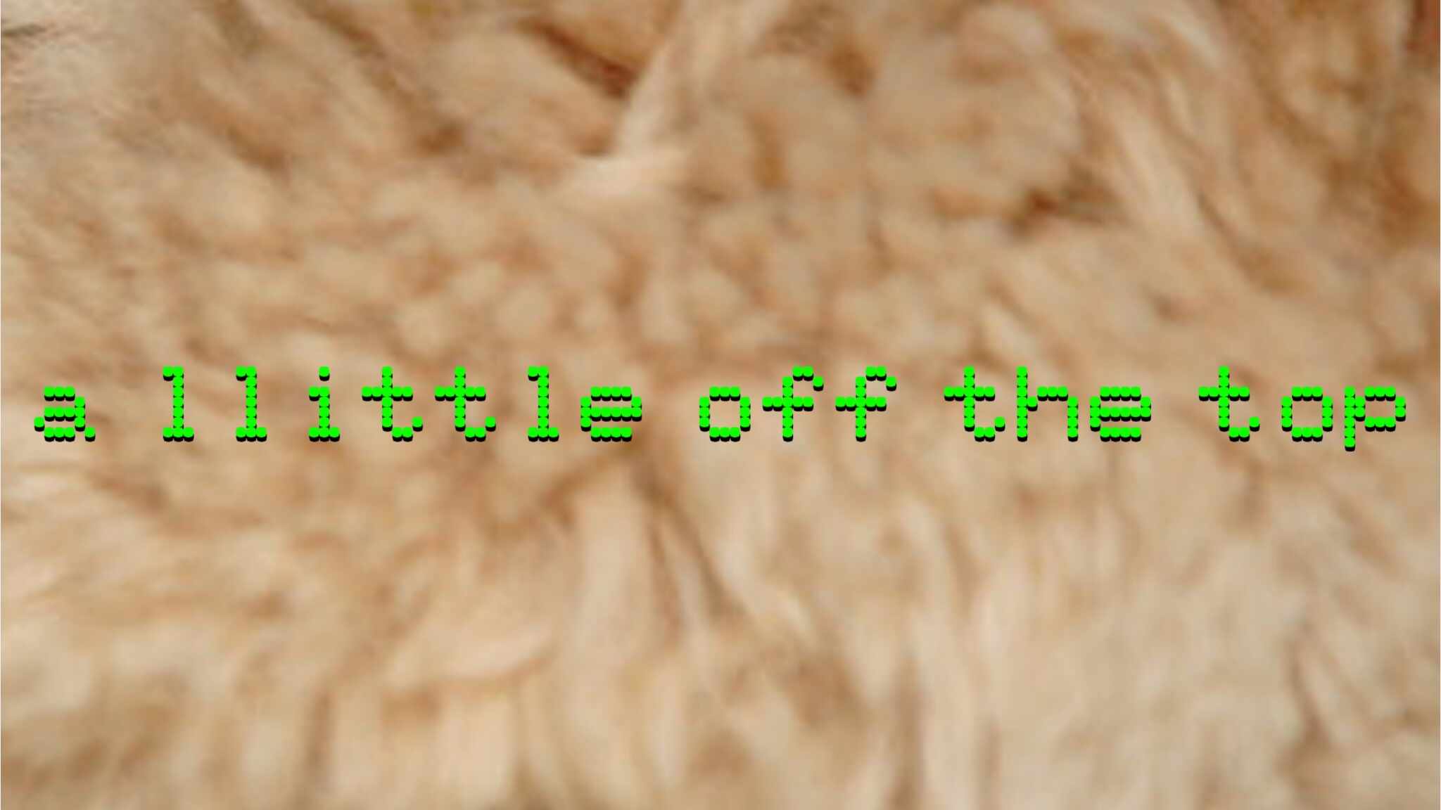 a-llittle-top 