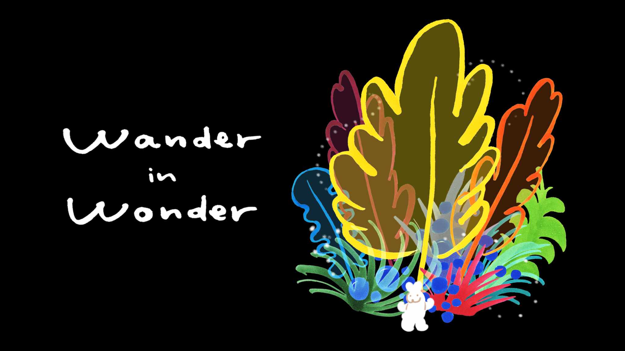 Wander in Wonder