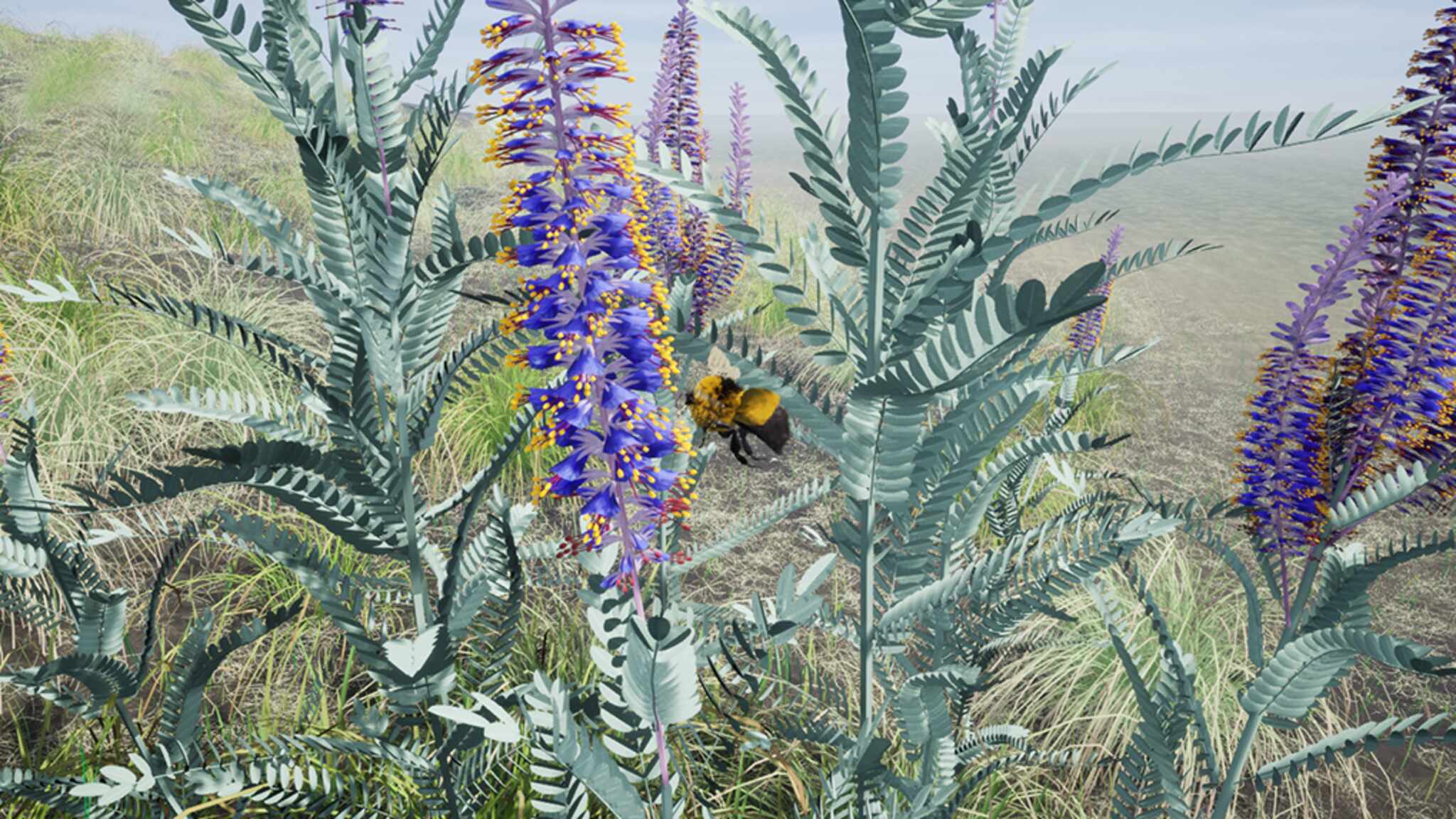 Dreaming The Prairie