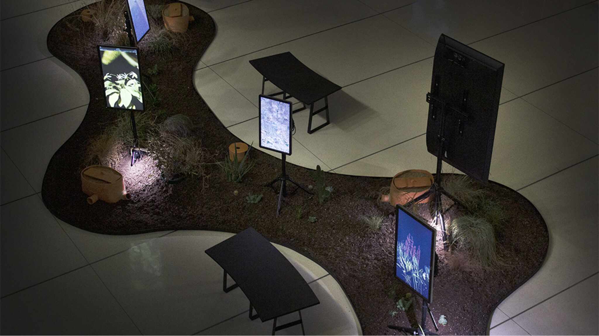 Run Dry: Digital infrastructure and landscape loss in Mesa, Arizona