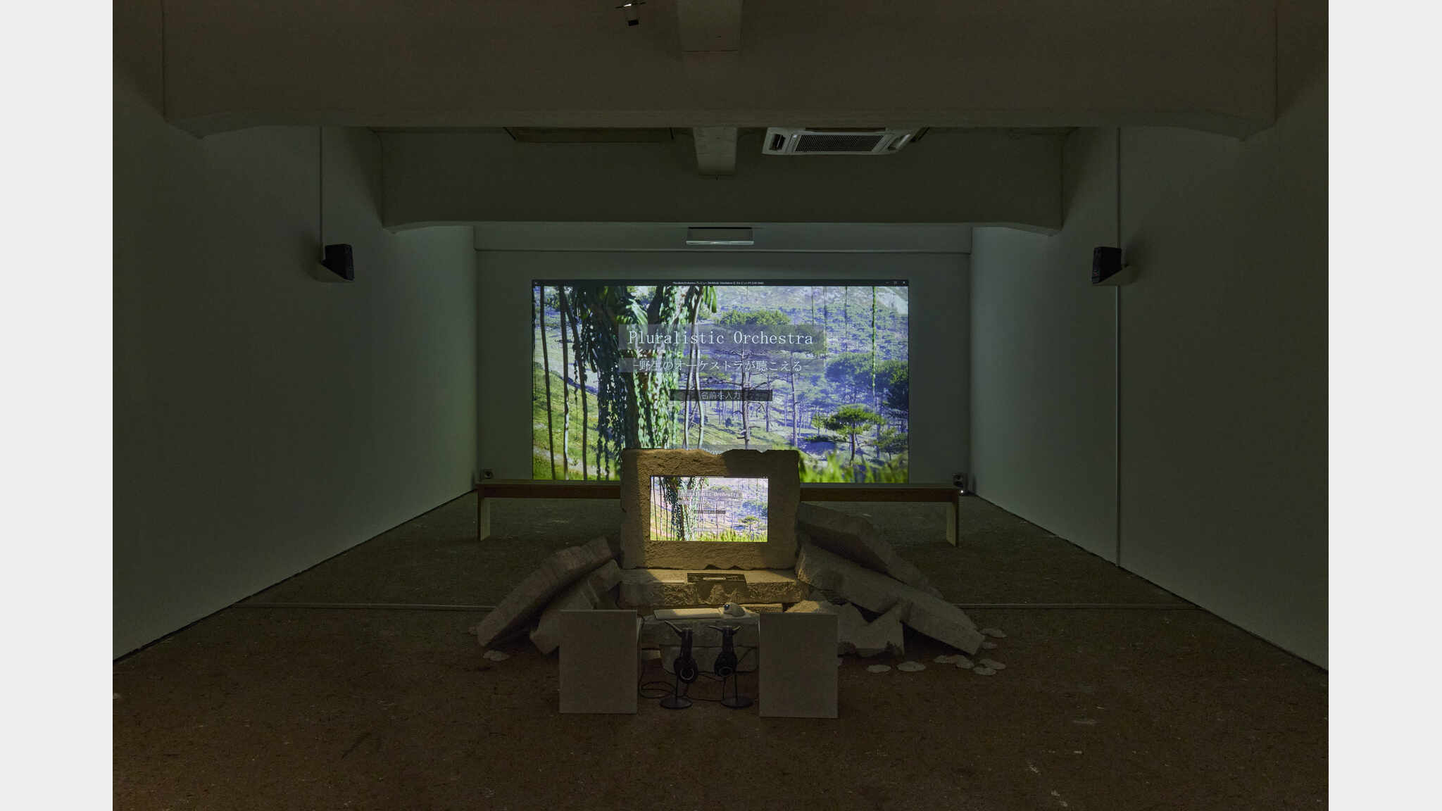 Virtual Field Recording